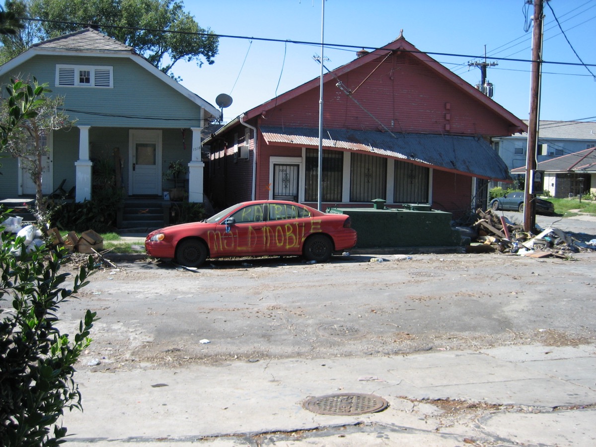 Mold growing on a former floodwater-damaged car in New Orleans after Hurricane Katrina — mold begins developing within 24 to 48 hours on wet surfaces