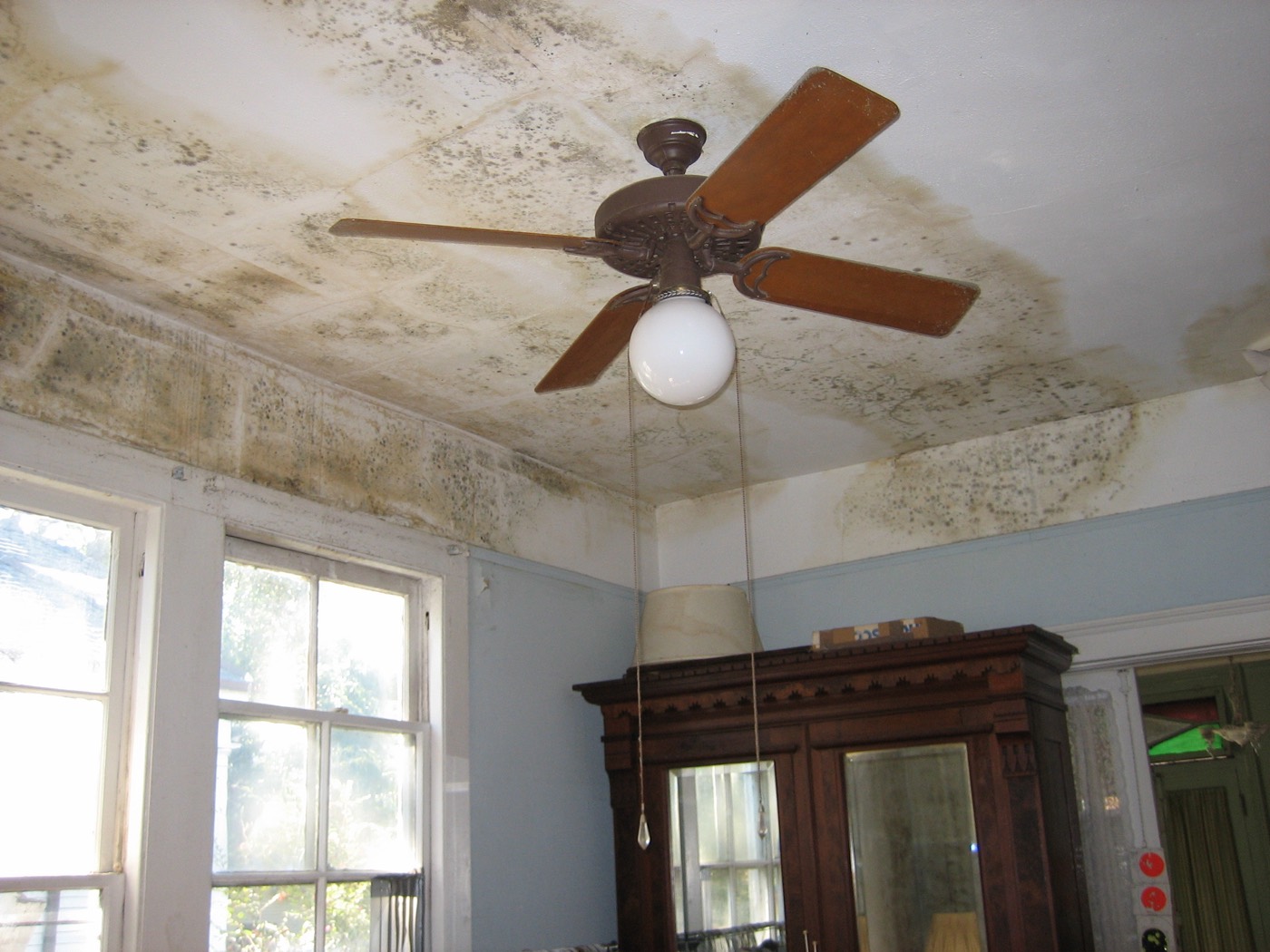 Mold spreading across a house ceiling after flooding from a storm