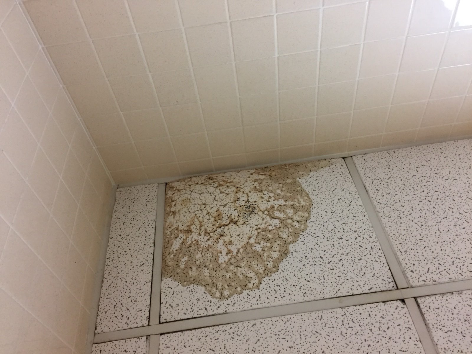 Brown water stain spreading across a residential ceiling from an active leak above